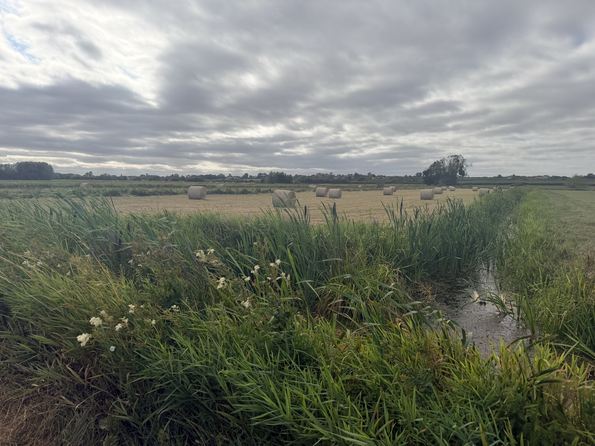 Somerset Levels — hay bales and open landscape